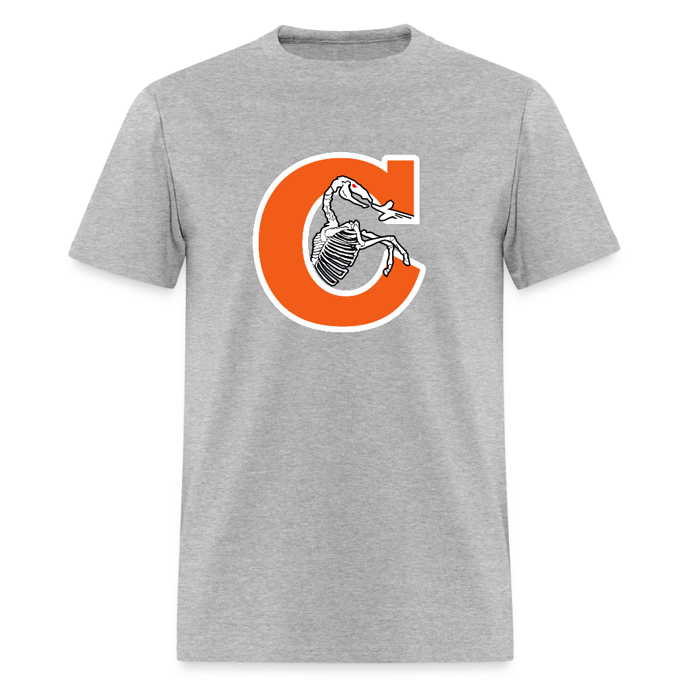 Unisex Classic T-Shirt - heather gray